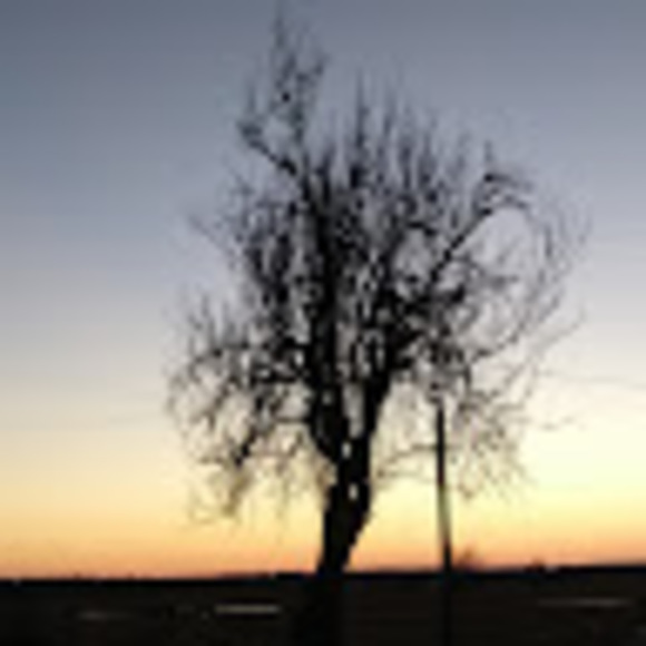 Meet your Posher, Spirit - Picture 1 of 1